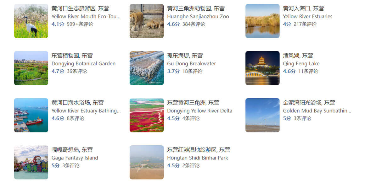东营景点.jpg