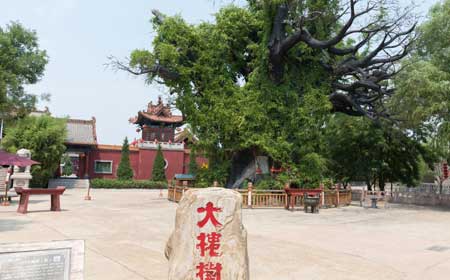 洪洞大槐树寻根祭祖园