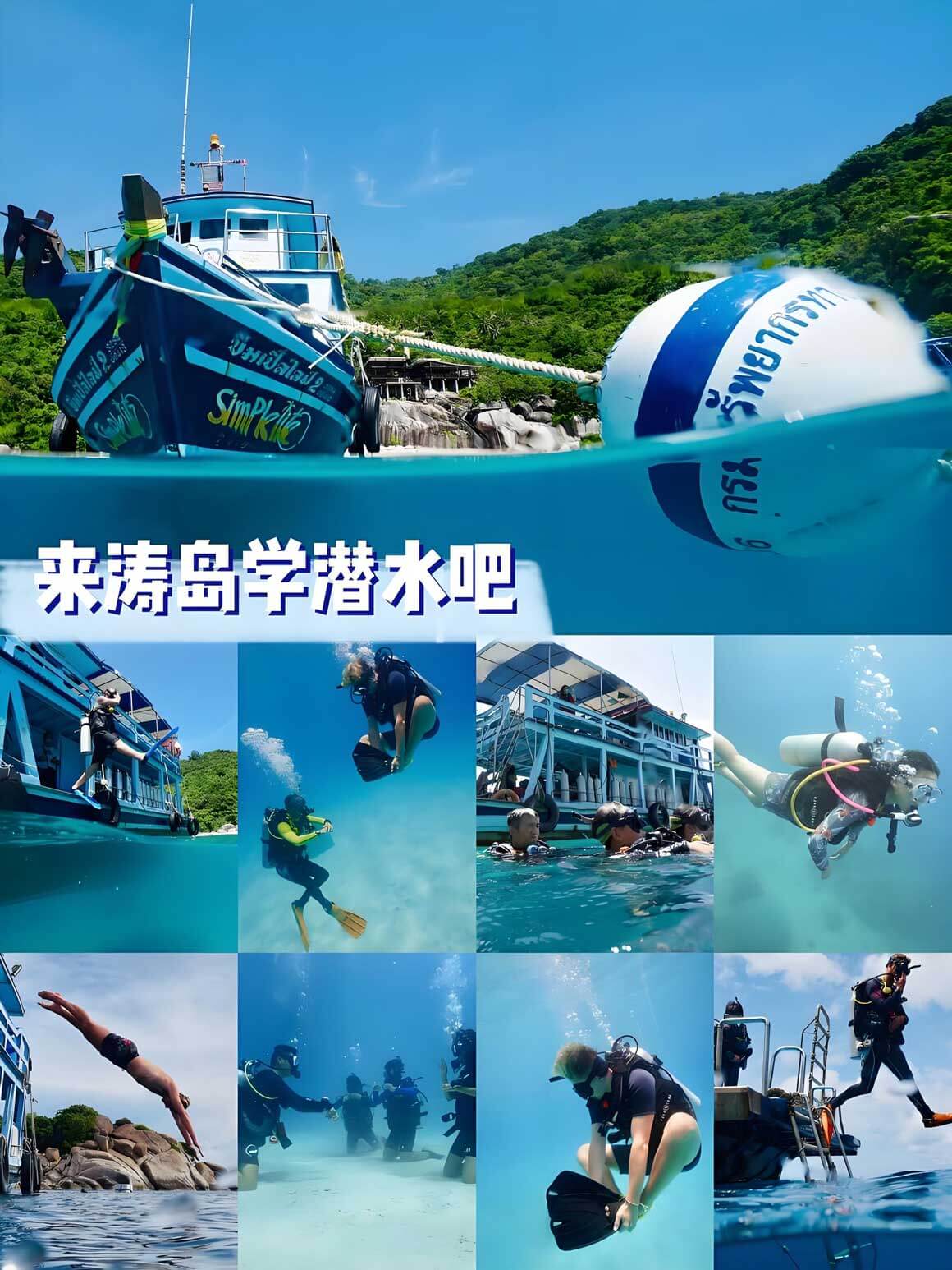 涛岛.jpg