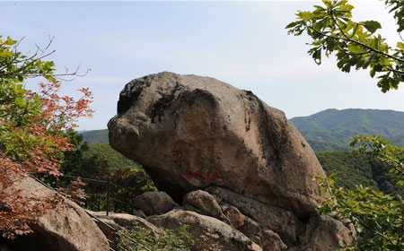 朱雀山国家森林公园