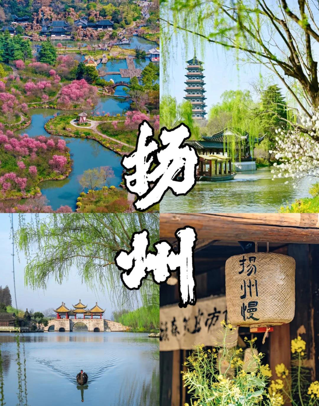 1-25050F01I0B4.jpg