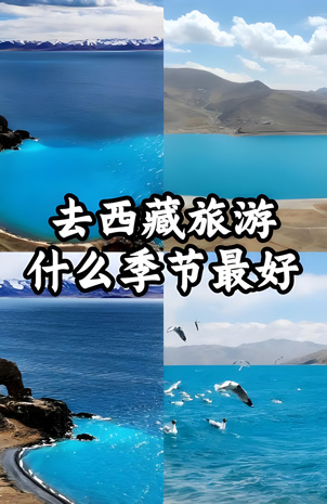 去这些地方的最佳旅行季节是几月？