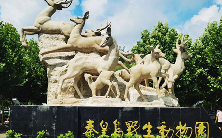 秦皇岛野生动物园 | 亲子游首选地