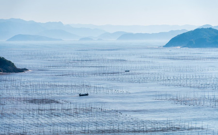 这些地方的交通怎么安排最方便？