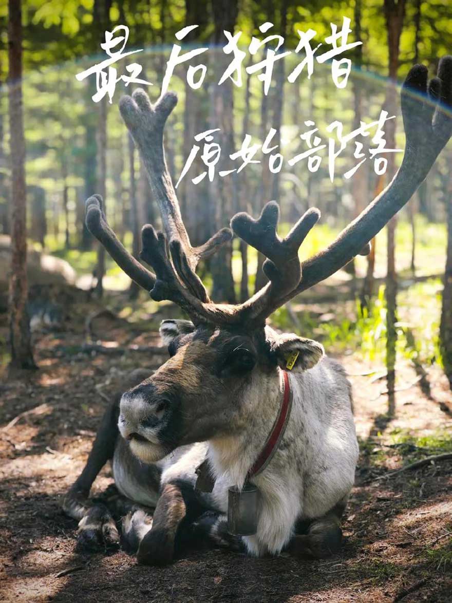 内蒙古旅游景点哪里好玩？十大必去景点攻略+最佳路线推荐