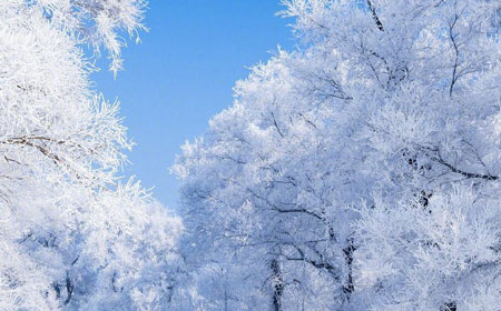 雾凇岛景区 | 寒江雪柳的童话世界
