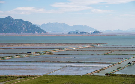福建霞浦滩涂