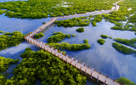 北海金海湾红树林生态旅游区 | 中国十大魅力湿地