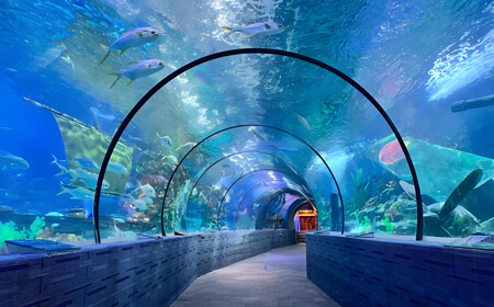 北海海底世界 | 国家4A级旅游景区
