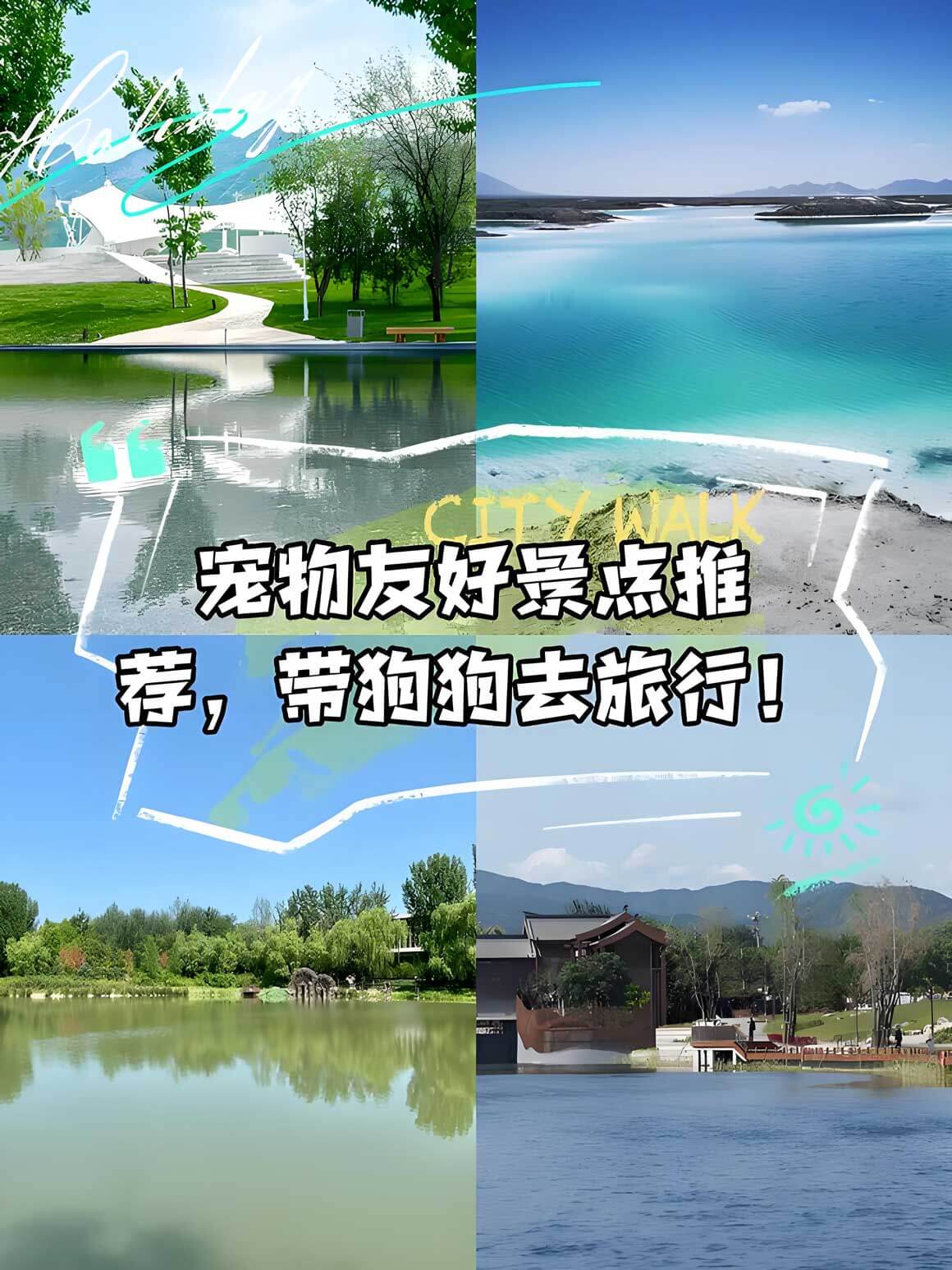 宠物友好旅游地2025.jpg