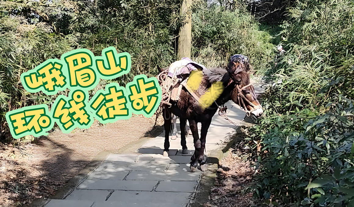 四川眉山徒步.jpg