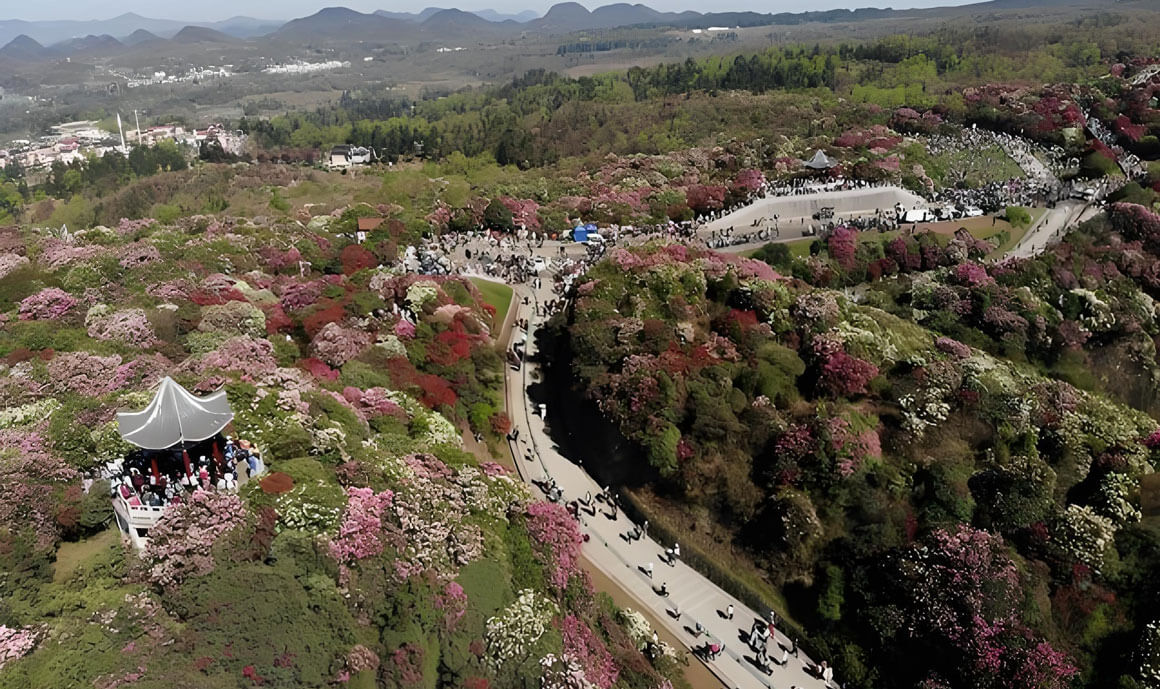 四川遂宁.jpg