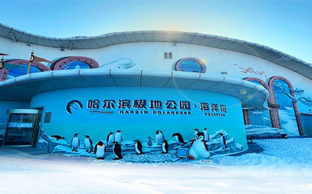 哈尔滨极地公园·海洋馆 | 哈尔滨国际冰雪节三大景区
