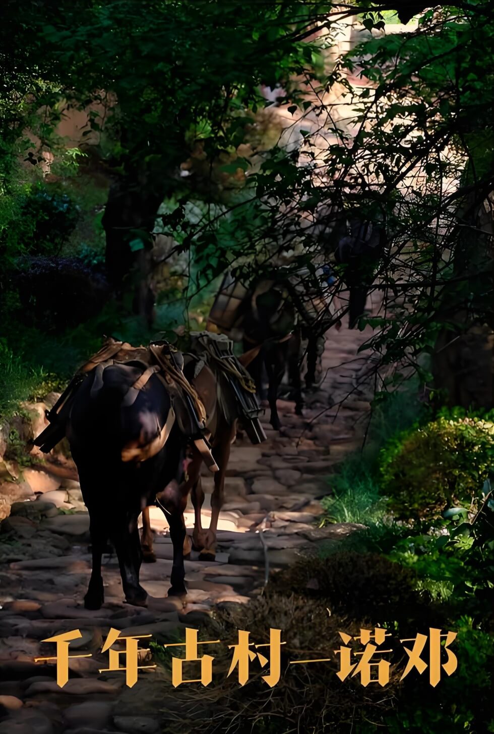 云南诺邓古村.jpg