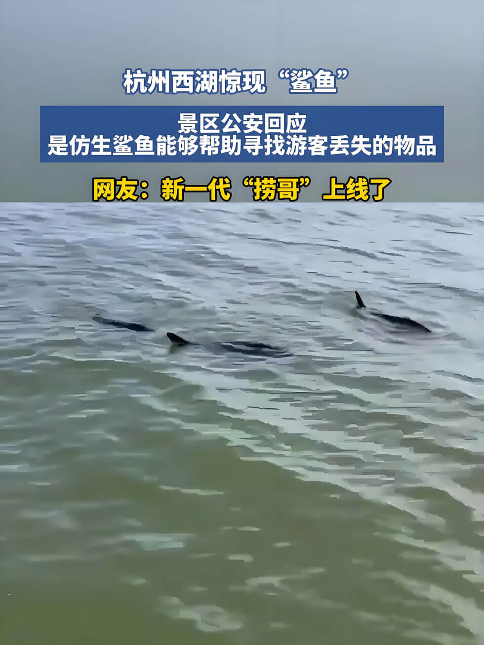 西湖惊现"鲨鱼"？实为能捞手机的黑科技机器鱼！游客：下次掉水里也不慌了