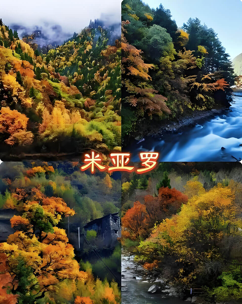 米亚罗.jpg