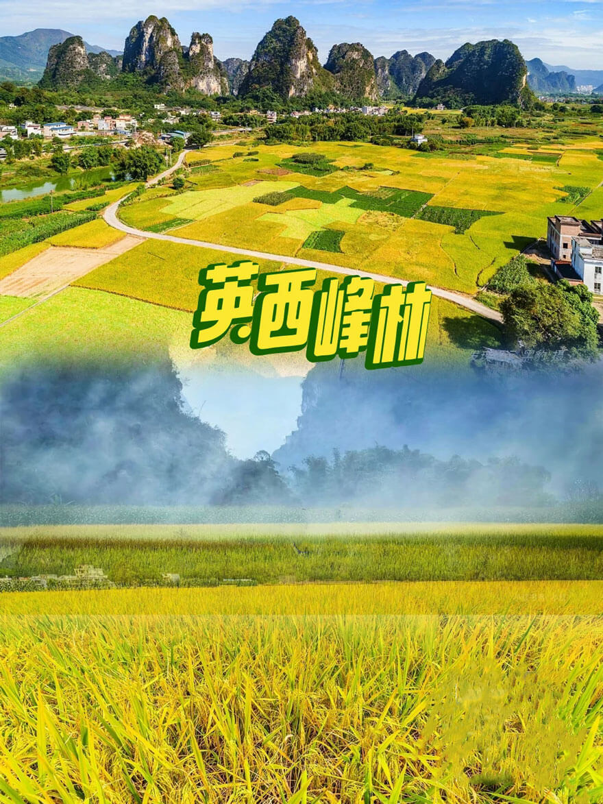 11月份广东适合旅游的地方都有哪些？都有哪些好玩的旅游景点和美食？