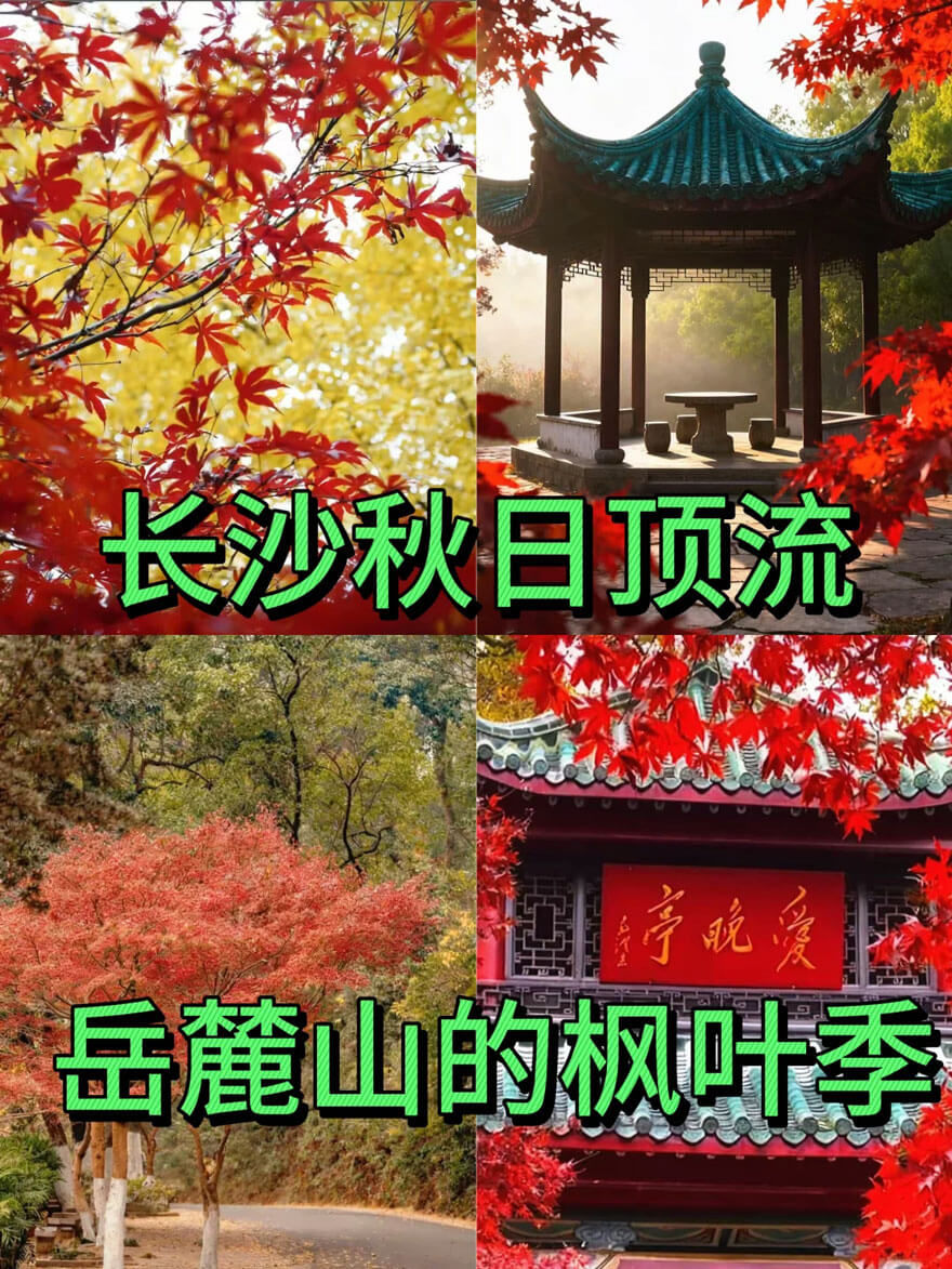 11月份湖南适合旅游的地方都有哪些？都有哪些好玩的旅游景点和美食？