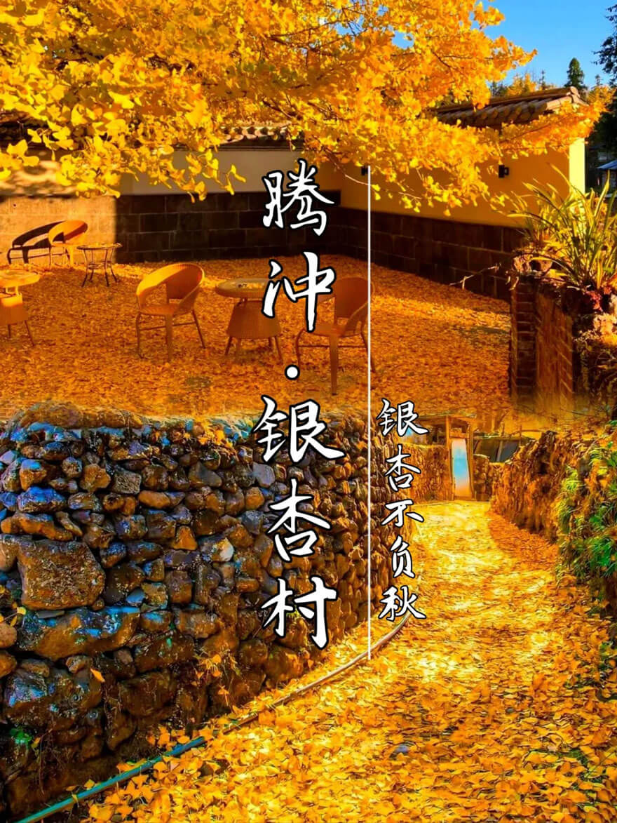 11月份适合旅游的地方都有哪些？11月份