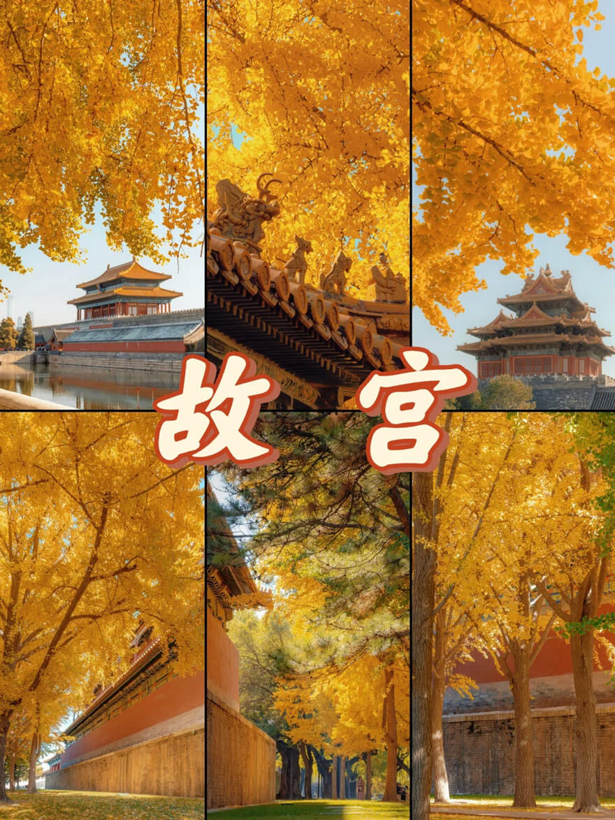 11月份北京适合旅游的地方都有哪些？都有哪些好玩的旅游景点和美食？