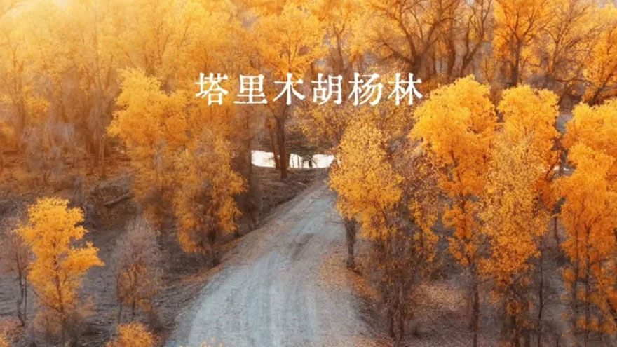 11月份新疆适合旅游的地方都有哪些？都有哪些好玩的旅游景点和美食？