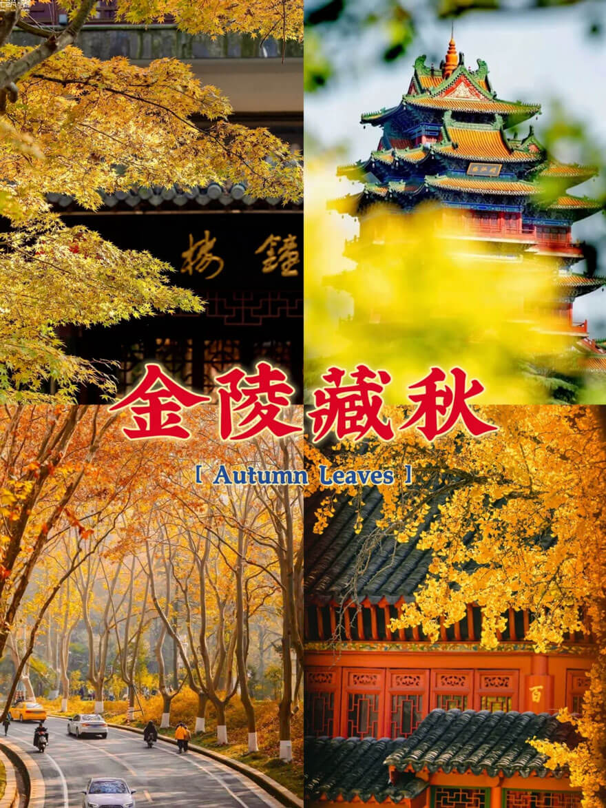 11月份江苏适合旅游的地方都有哪些？都有哪些好玩的旅游景点和美食？