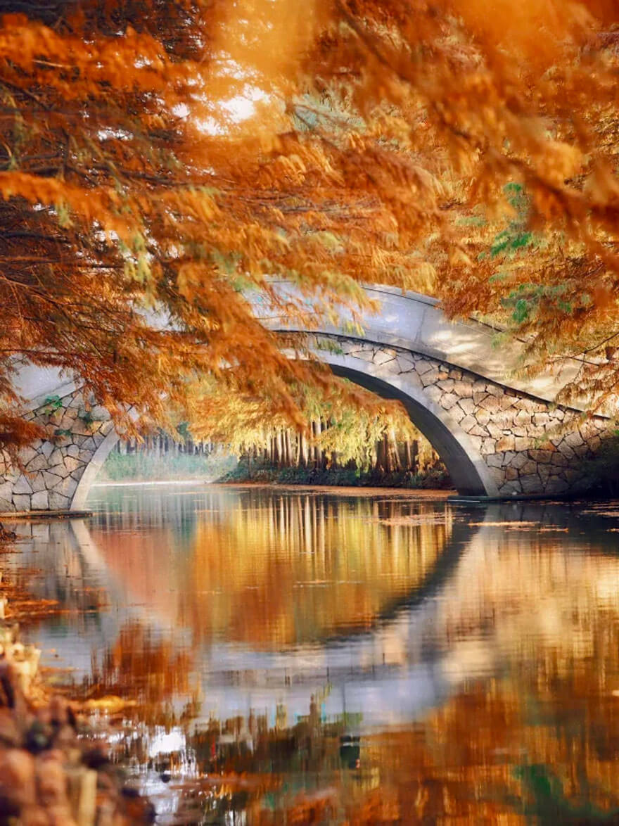 11月份江苏苏州 · 古典园林的秋日雅韵2.jpg