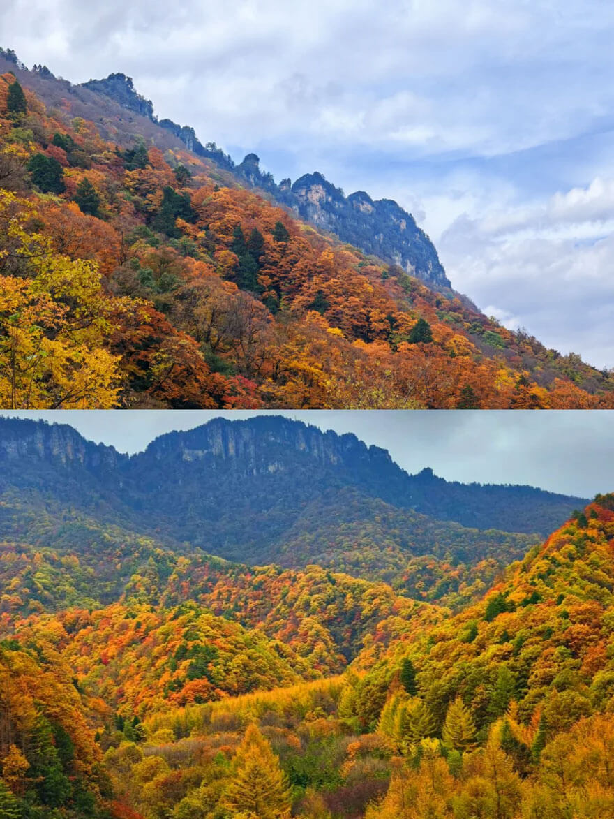 11月份湖北适合旅游的地方都有哪些？都有哪些好玩的旅游景点和美食？