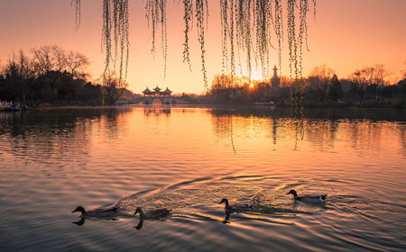 瘦西湖 | 世界文化遗产大运河的重要组成部分