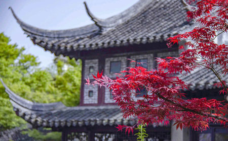 留园 | 吴中名园之冠