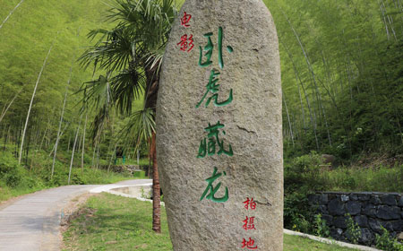 木坑竹海 | 卧虎藏龙竹海