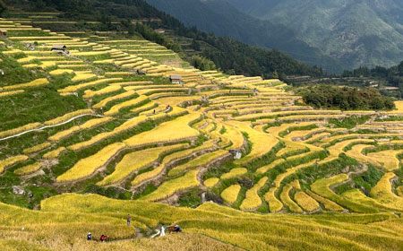 云和梯田 | 中国最美梯田