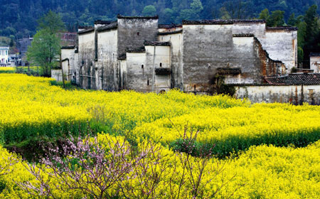 婺源风景区 | 中国最美乡村